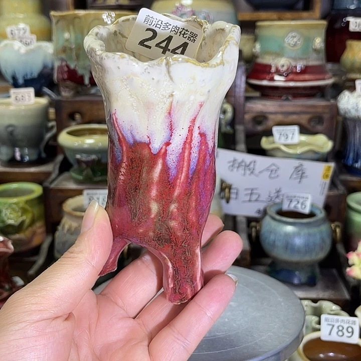 狼盆内口径5高度12