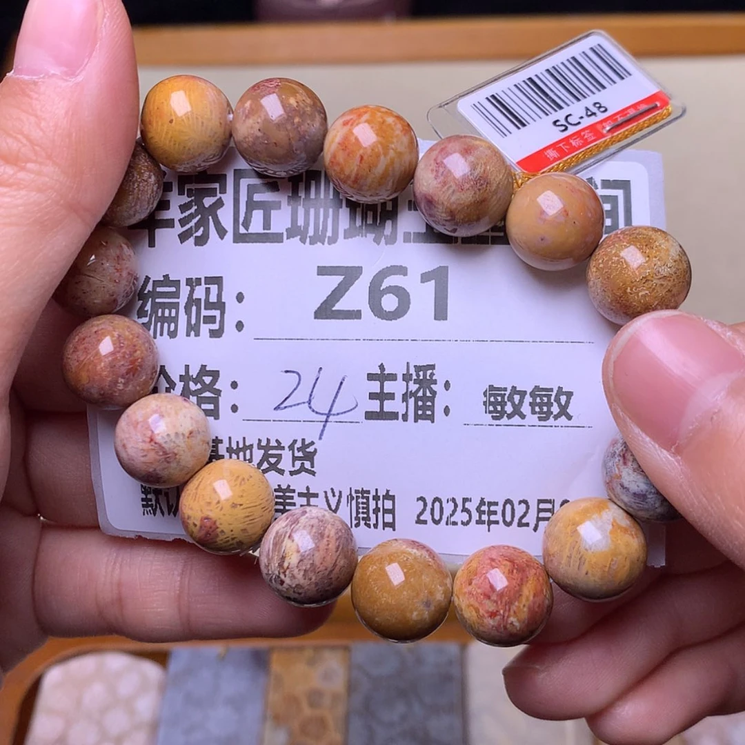 【闪购商品】硅化珊瑚（珊瑚玉）颈饰未镶嵌宝*儿Z61