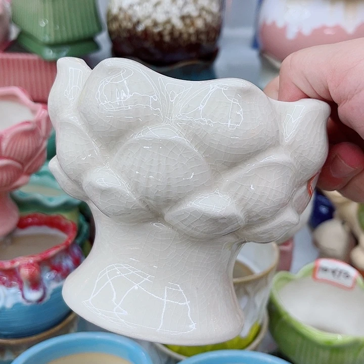 多肉植物陶瓷花盆