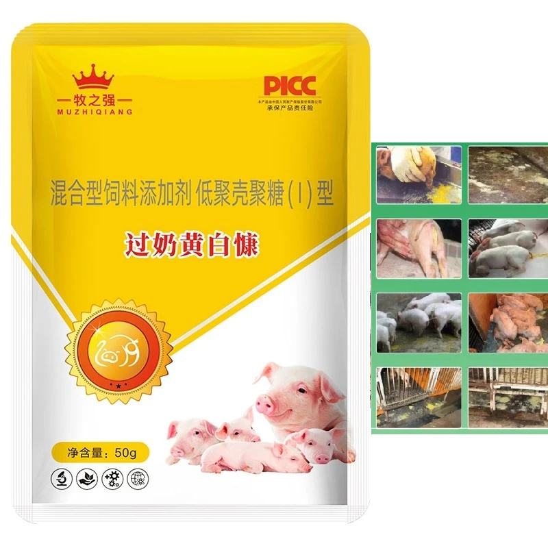 【牧之强-过奶黄白慷】低聚壳聚糖饲料添加剂小猪黄白母猪拌料