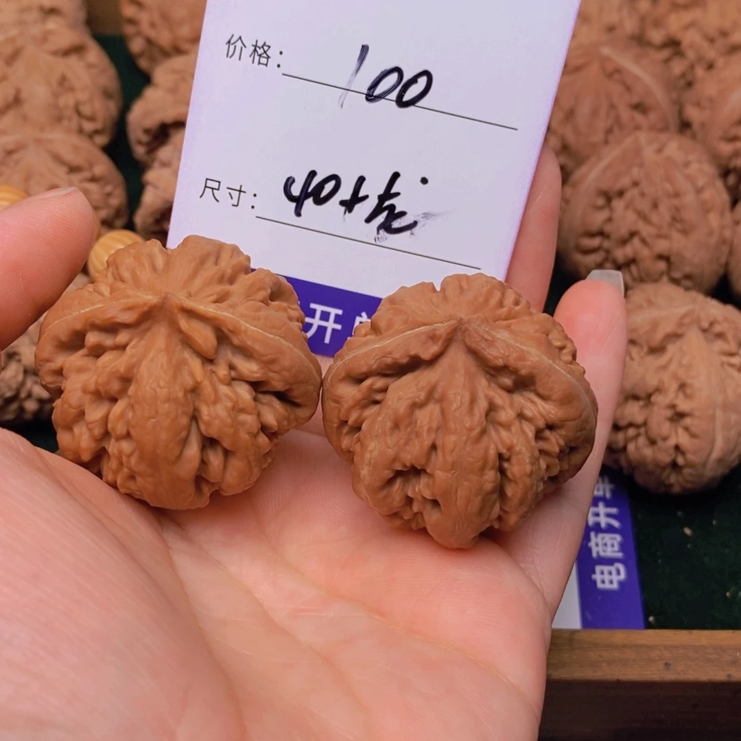 文玩核桃霸王龙核桃