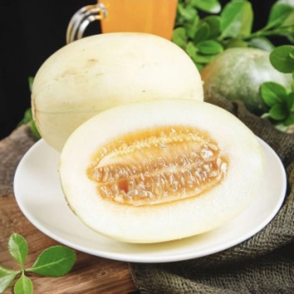 果切【果切】景甜瓜【整果称重约1000g】