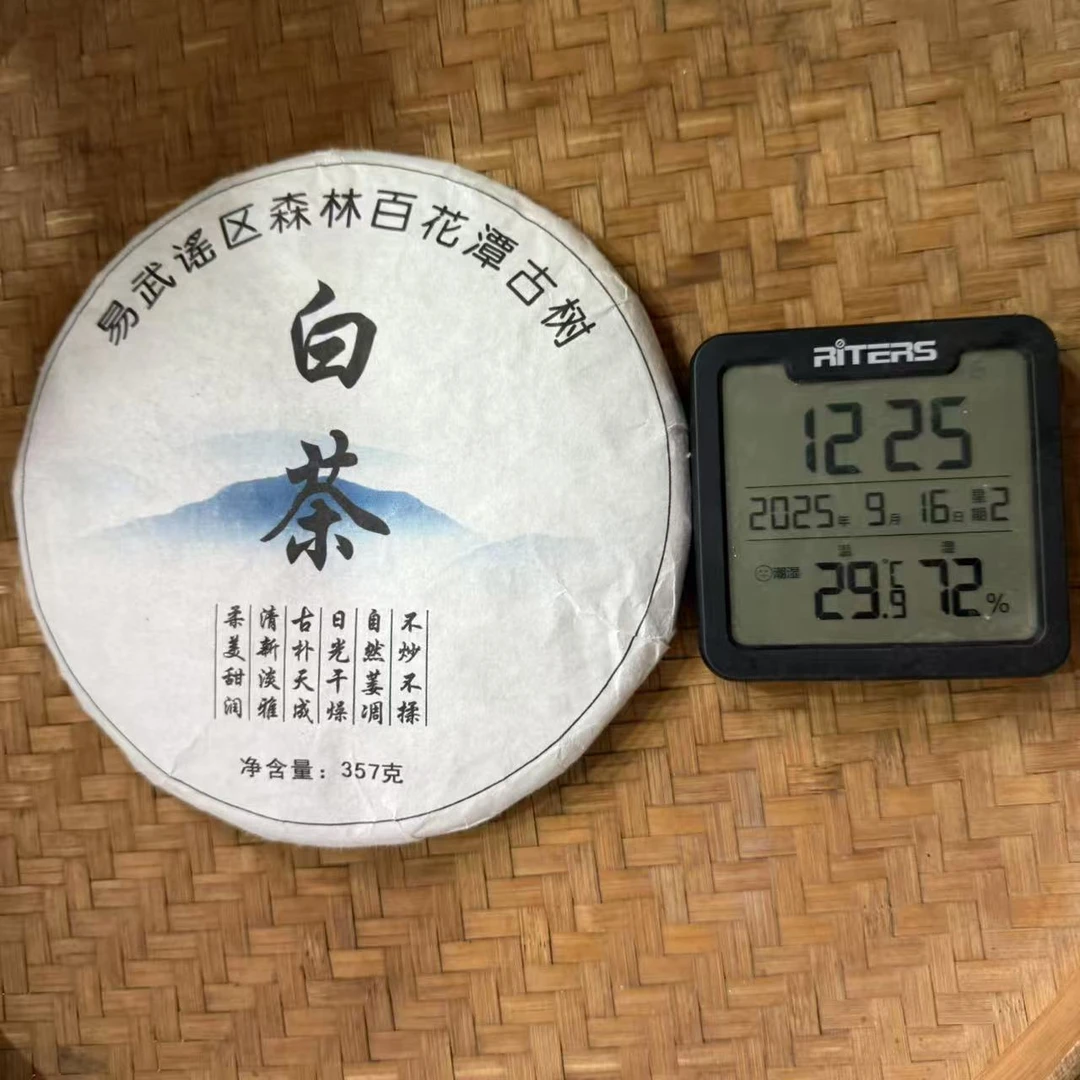 2019年易武瑶区森林百花潭高杆普洱白茶饼357克JZ2号9月16日