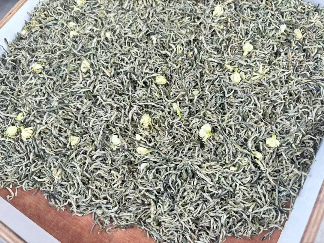 2025新茶 广西茉莉花茶 茉莉白雪花