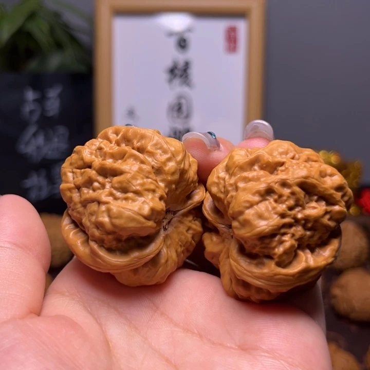 文玩核桃把件40尺蛤蟆12