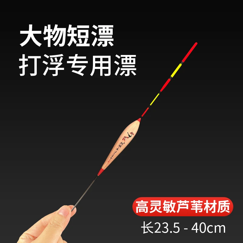 阿祖芦苇大物短漂醒目加粗浅水打浮黑坑鲢鳙鱼漂矶竿远投滑漂鱼漂