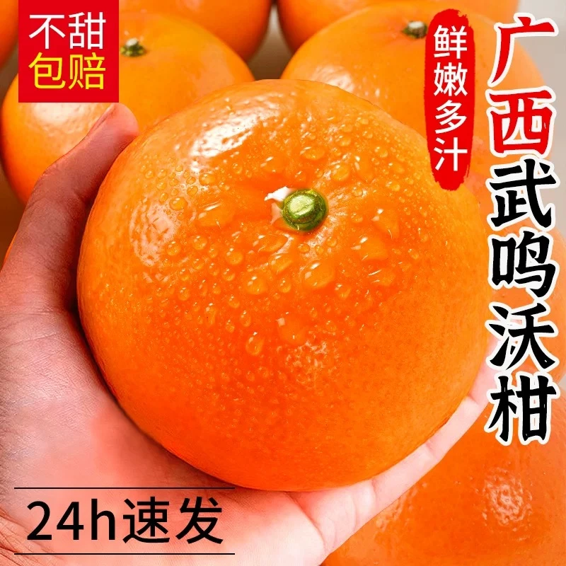 正宗广西武鸣沃柑5斤/10斤整箱新鲜大果当季水果现摘现发无核沃柑