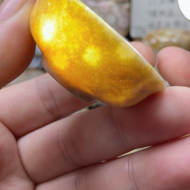 硅化珊瑚（珊瑚玉）颈饰未镶嵌