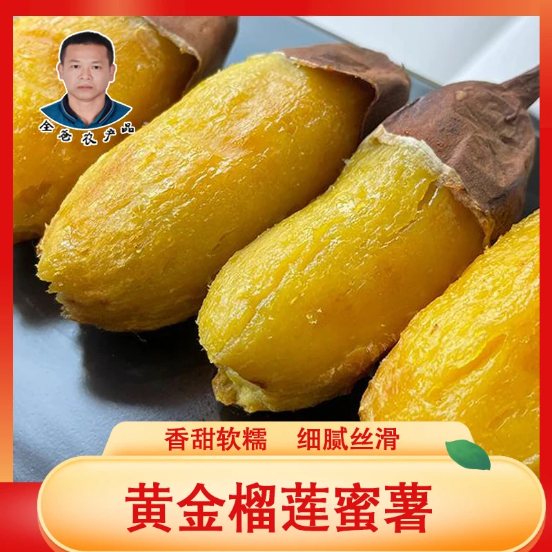 全爸农产品云南榴莲蜜薯丝滑鸣门金时红瑶蜜薯4.5斤