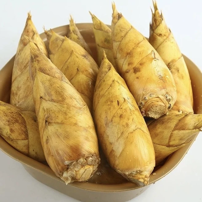 【天津猴瘦瘦农场】宁波发货现挖新鲜冬笋时令蔬菜，竹林美味