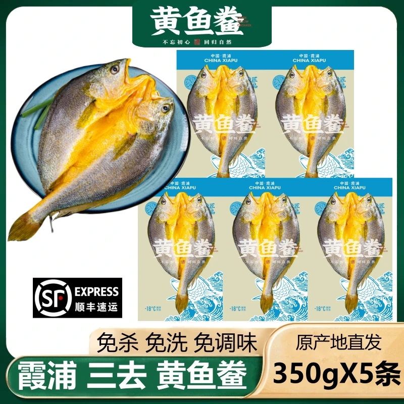 【350gX5条】福建宁德霞浦黄鱼鲞大黄鱼黄花鱼新鲜冷冻免杀350g/条