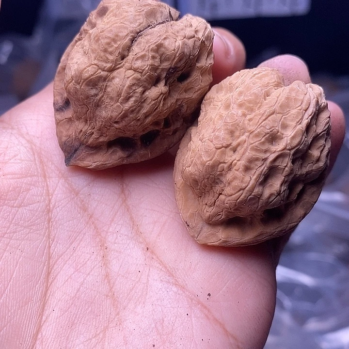 把件文玩核桃   240