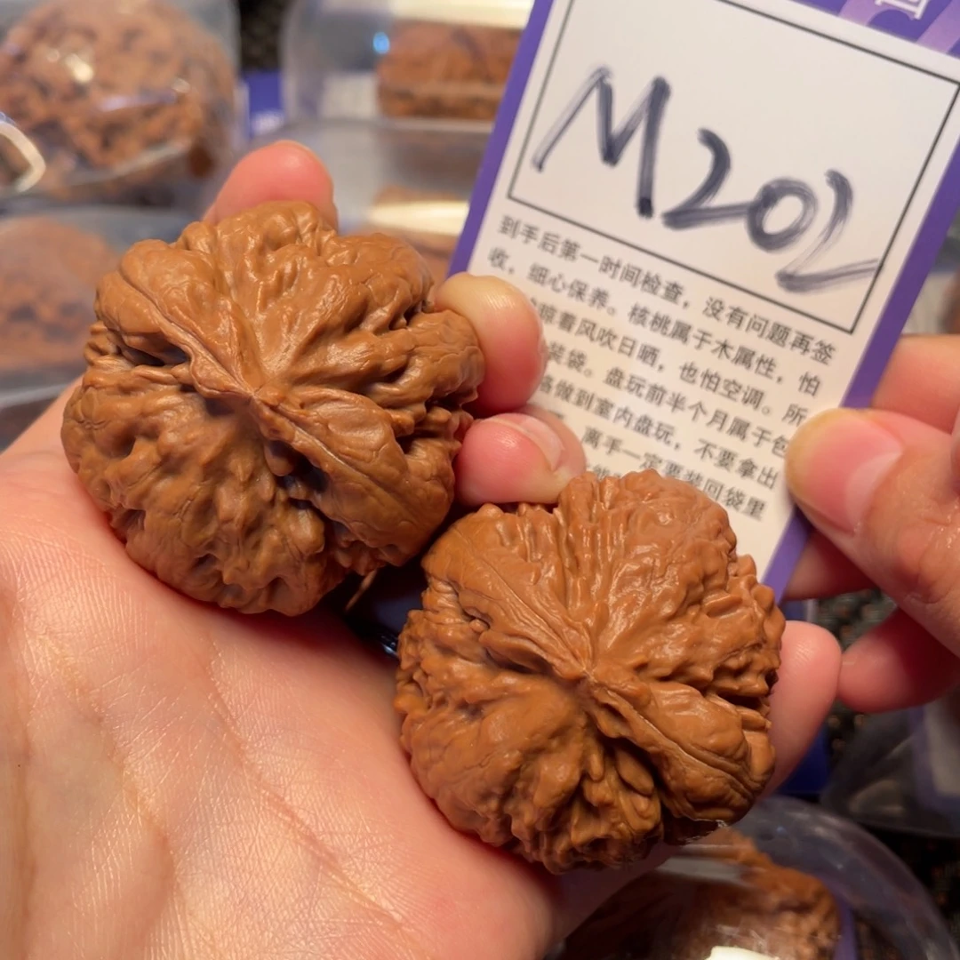 把件桃核M202号霸王龙42