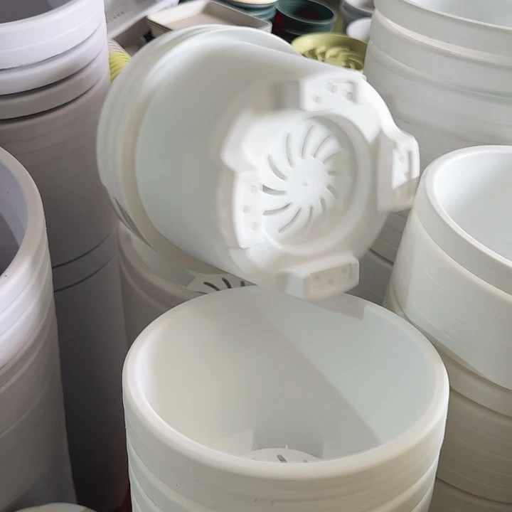 球根26口径6个无托白色