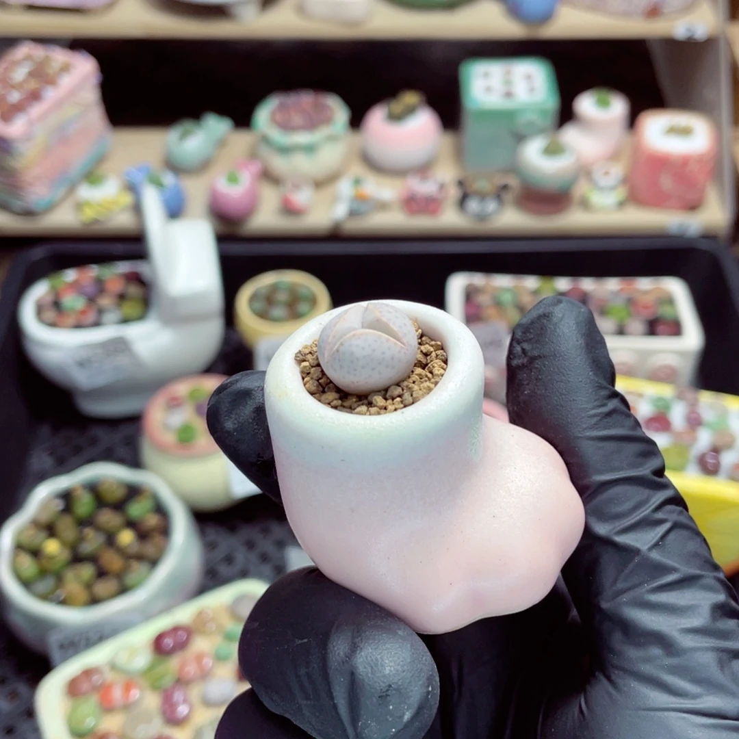 夜间零下地区拍保温箱w5825