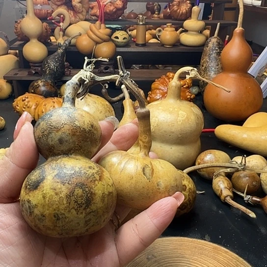 好*葫芦葫芦葫芦葫芦