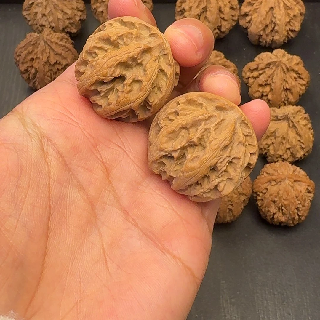 核桃突突突突突突突突突突突