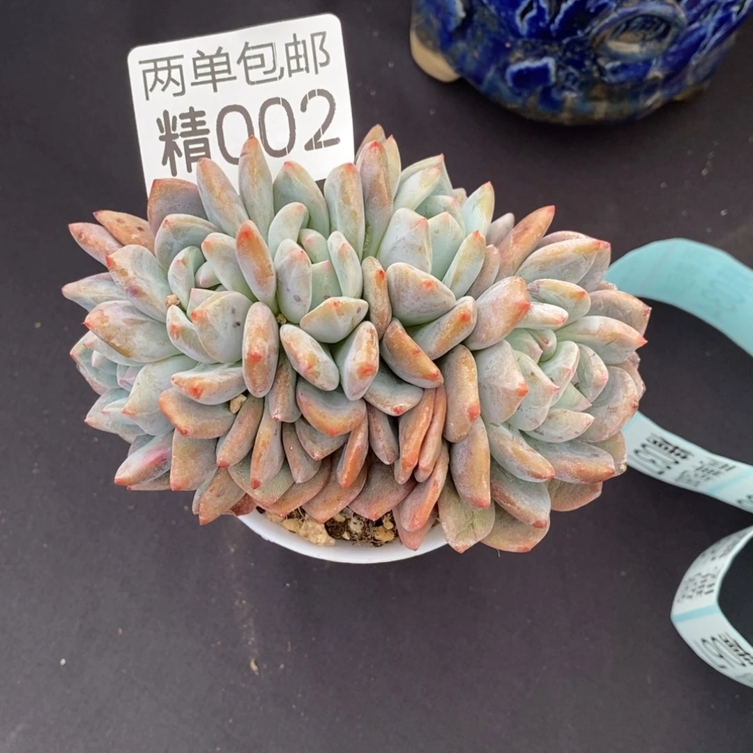 哈哈哈哈哈哈哈002