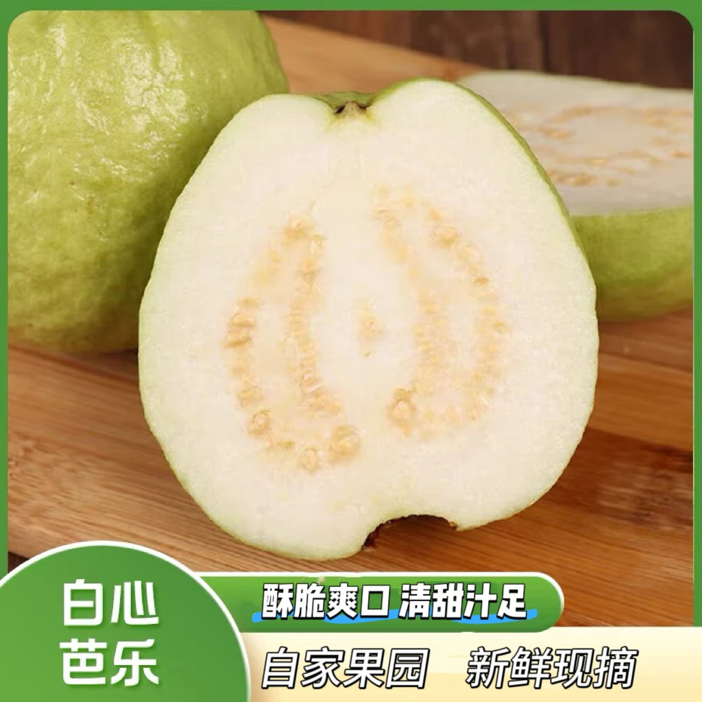 广东现摘白心番石榴新鲜爽脆低糖富含维生素C水果