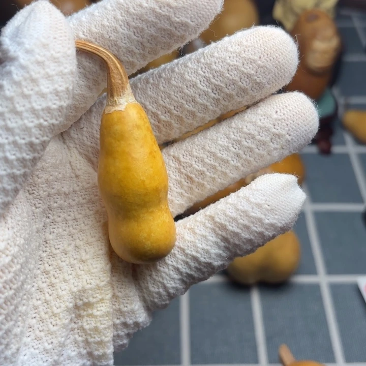 ****生66666666666666666666