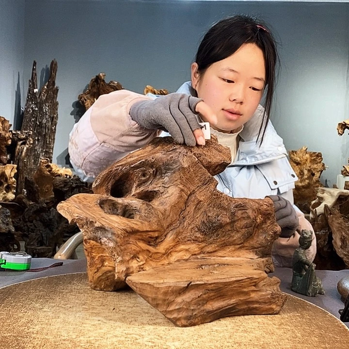 茶盏*️***501株木的随行的根艺