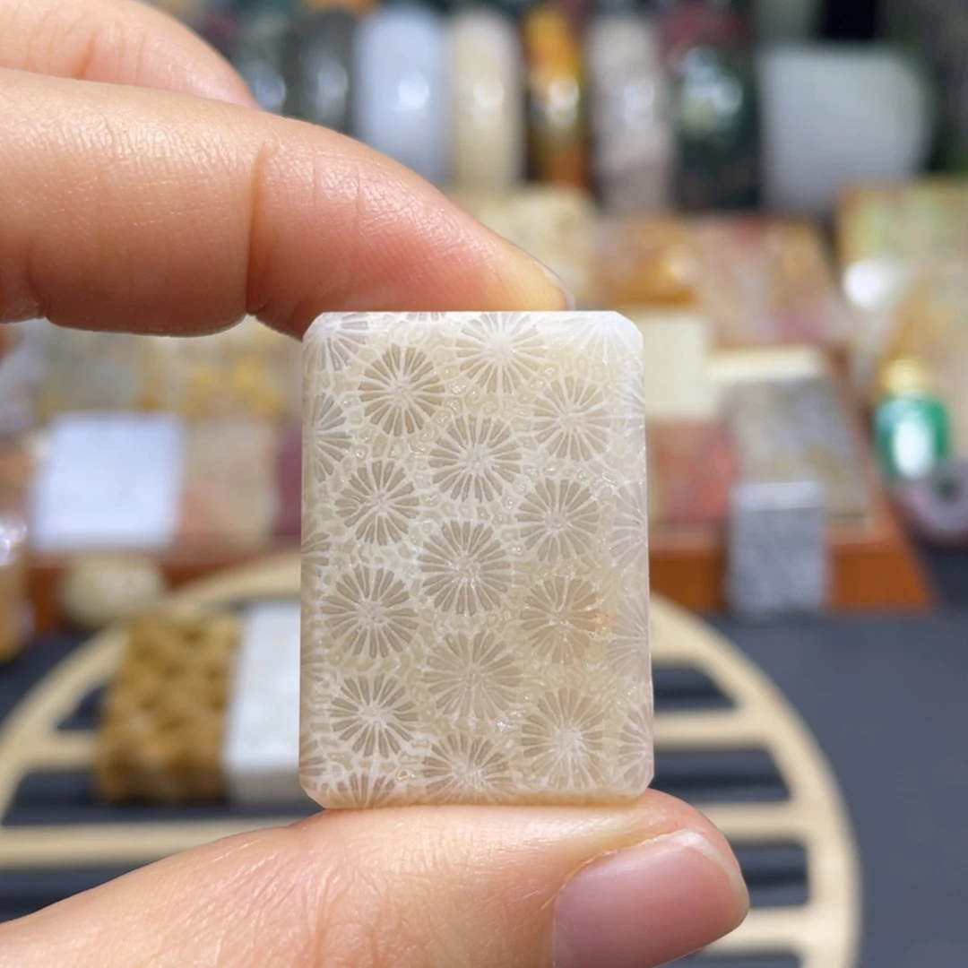 硅化玉未镶嵌颈饰k6