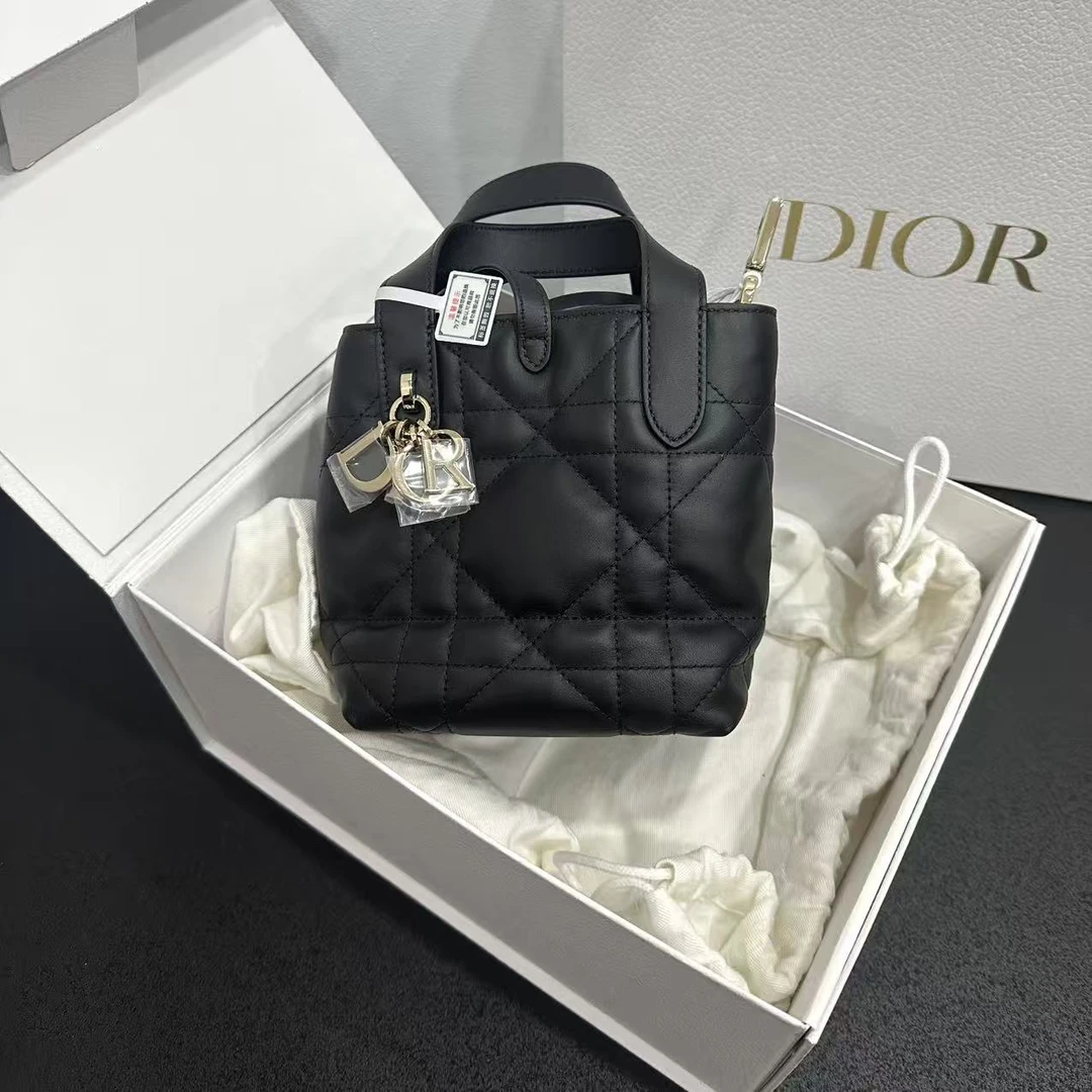 未使用 DIOR/迪奥 壹所/toujours竖版土著小号 黑金 全新 斜挎包