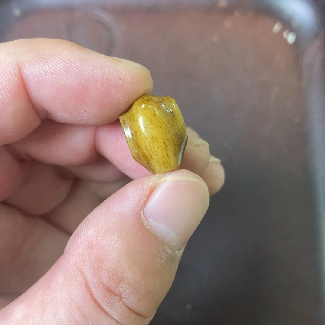 手串/手链驼骨配饰7尺寸1.2