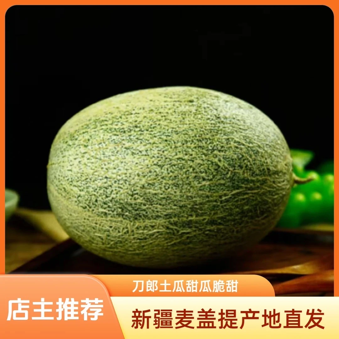 新疆麦盖提县刀郎土瓜产地直发口感脆爽