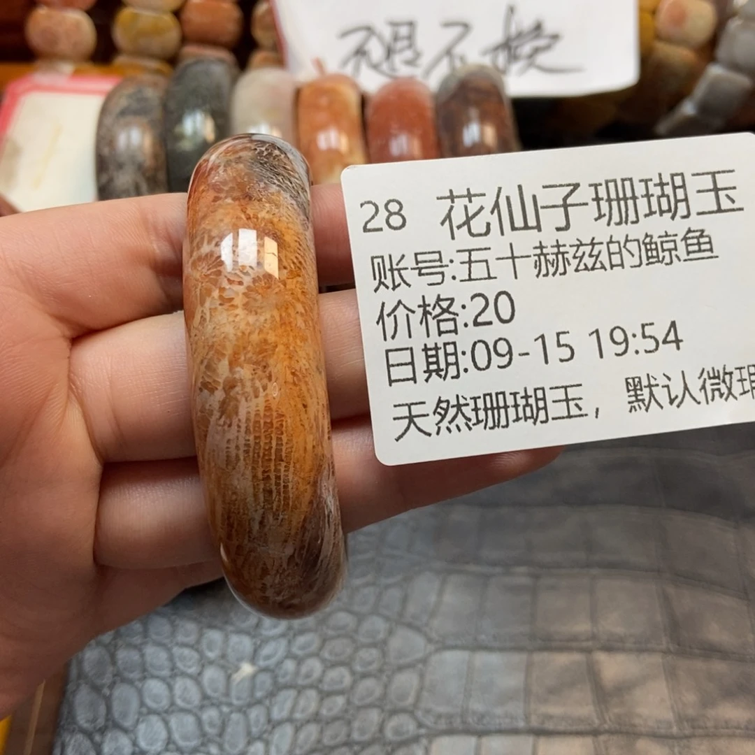 五***鱼未镶嵌硅化珊瑚（珊瑚玉）珠宝半成品28