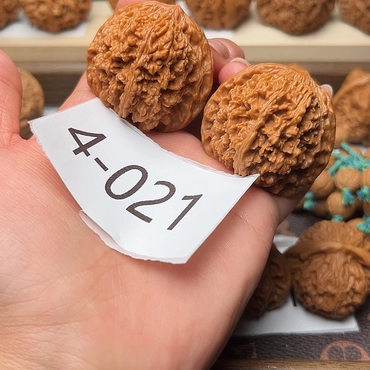 核桃42满天星4021