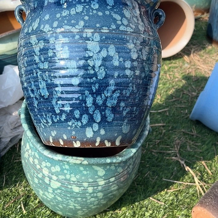 红陶口19.5高20福利价