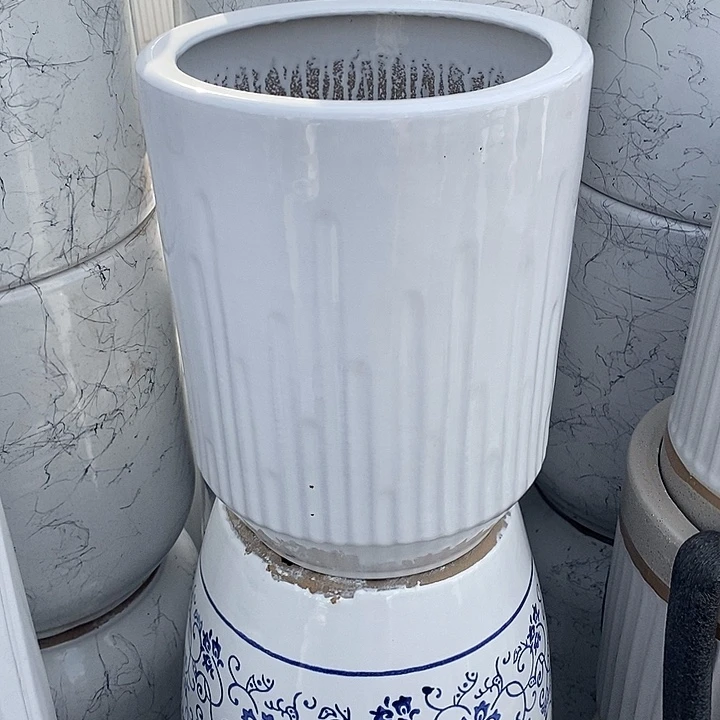 白音符中口26高32福利