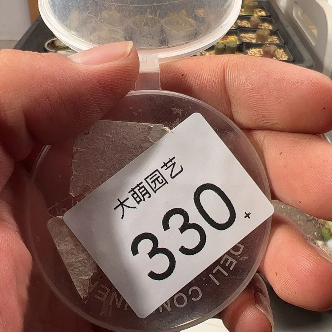 心***水一物一拍。         330