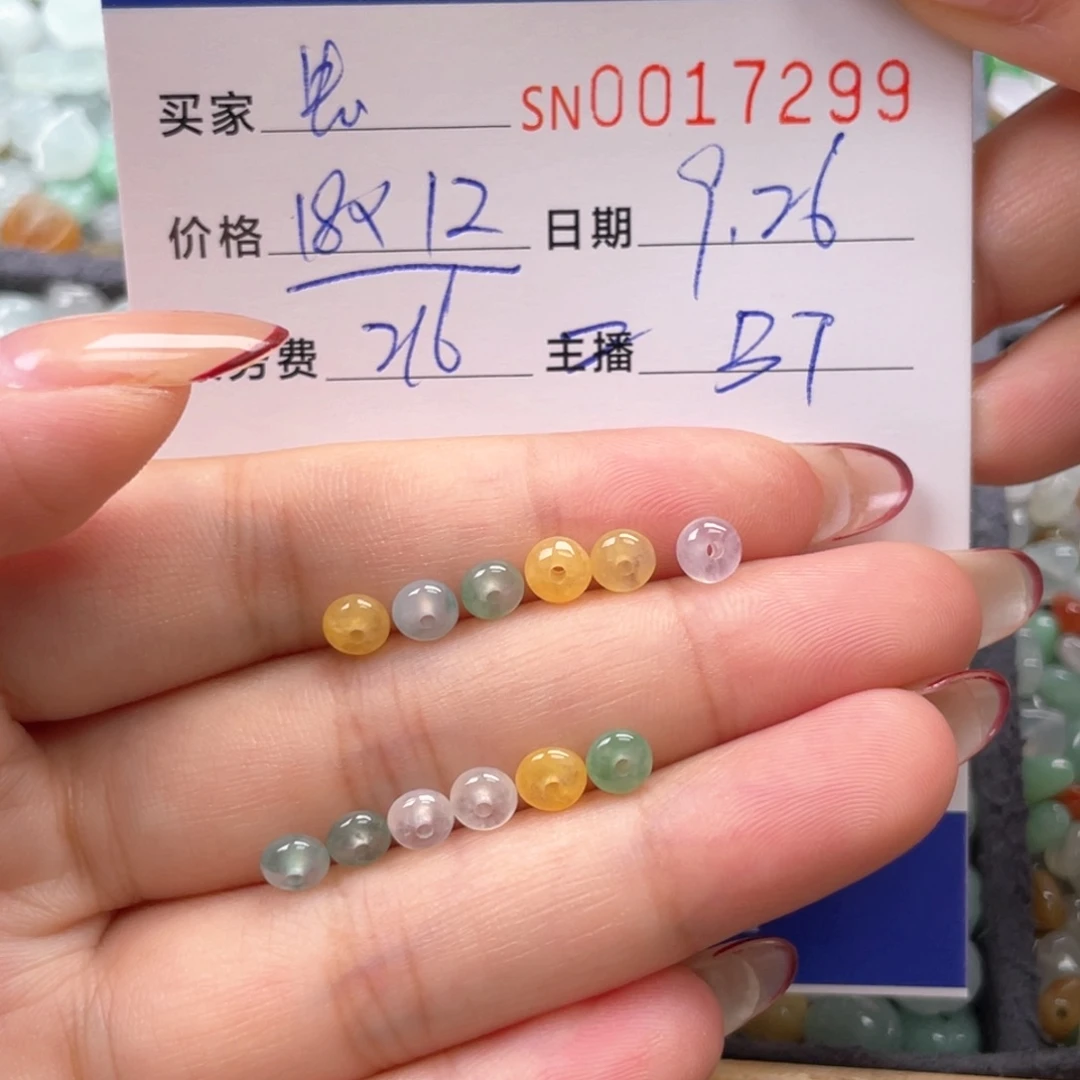 颈饰未镶嵌翡翠虫*