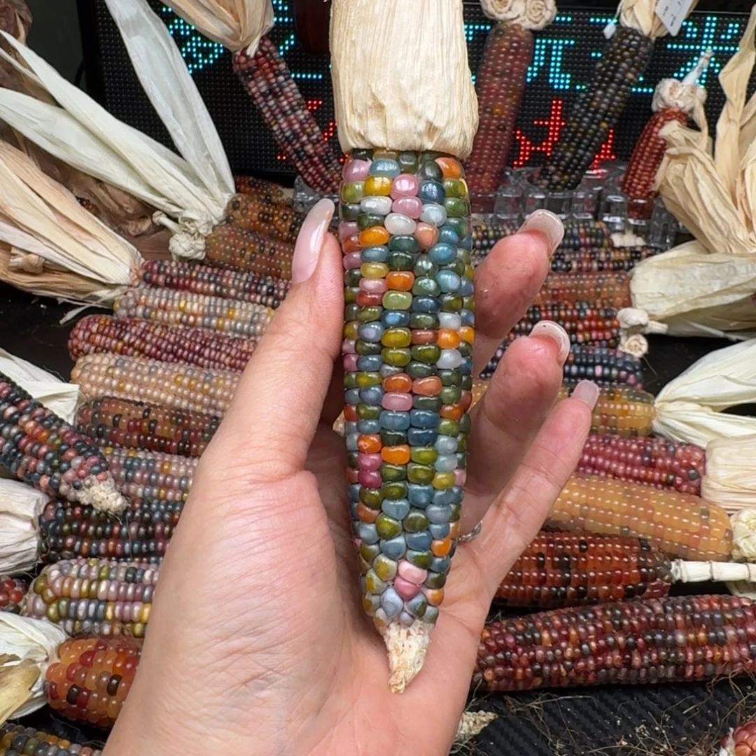 柏香籽/百香籽吊坠煦*