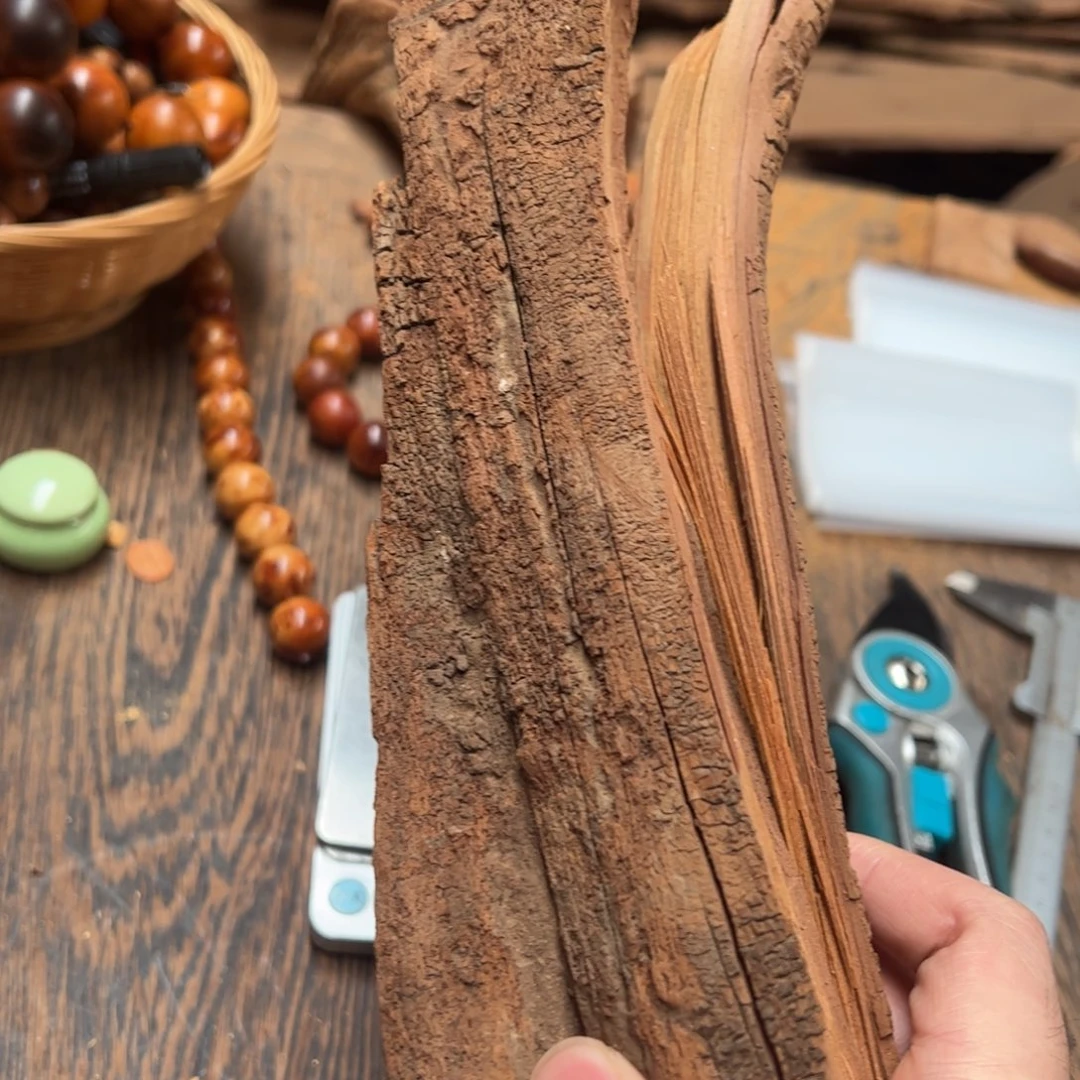 太行崖柏陈化太行