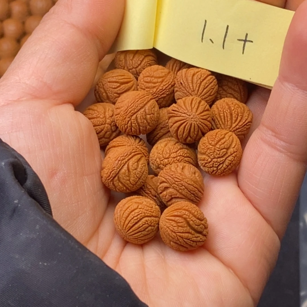 秦岭龙纹桃核21颗
