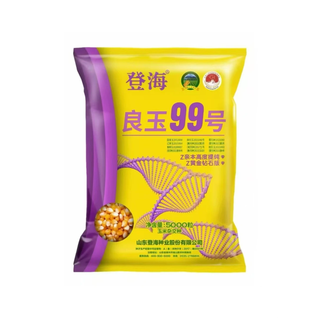 良玉99Z抗虫版亲本高度提纯抗锈病产量高5000粒大包装