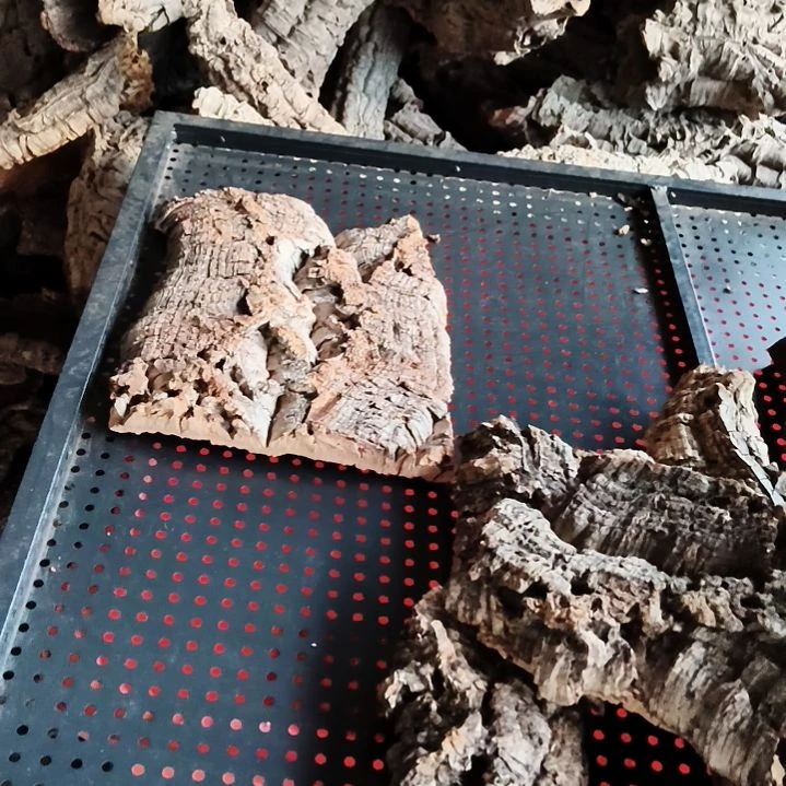 ****M一物一拍一物一发