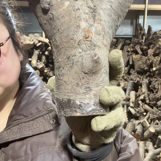 香榧木喀****岳火琉璃的故事毛料摆件