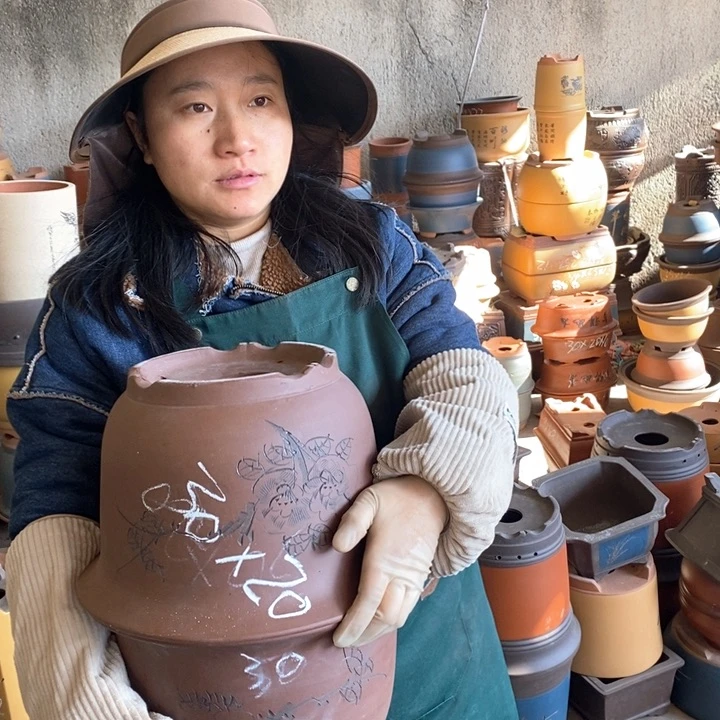 紫砂花盆盆栽花卉苗木种植