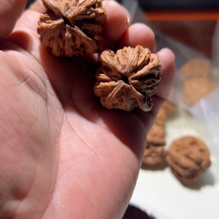 文玩核桃把件贝**们虎头