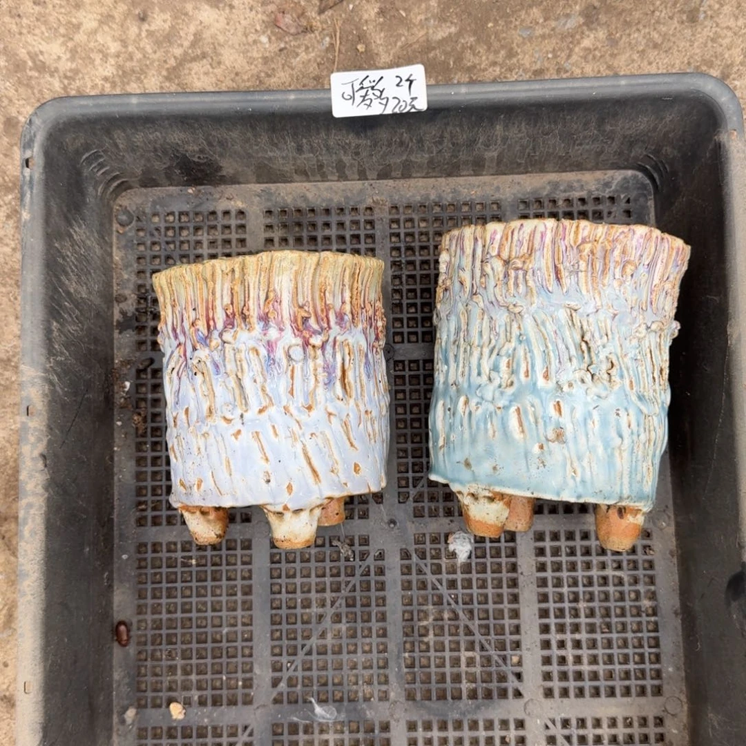 可爱多2个盆20元啦啦啦