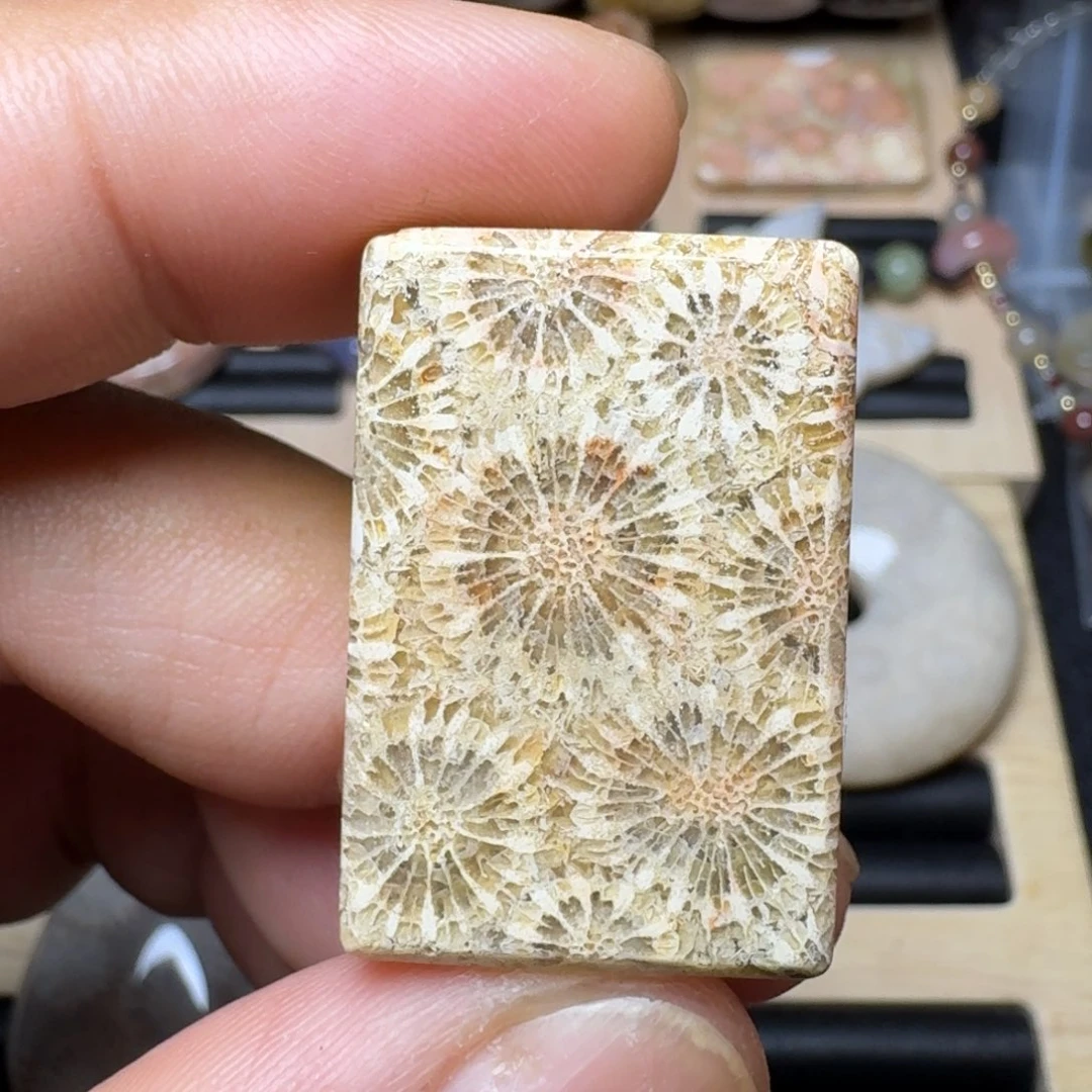 未镶嵌纯天然色有机玉石保真色硅化玉