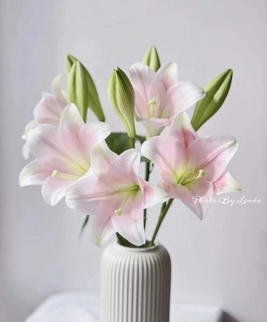 【粉铁炮百合】家居摆件花束 高级小众格调东北鲜切花
