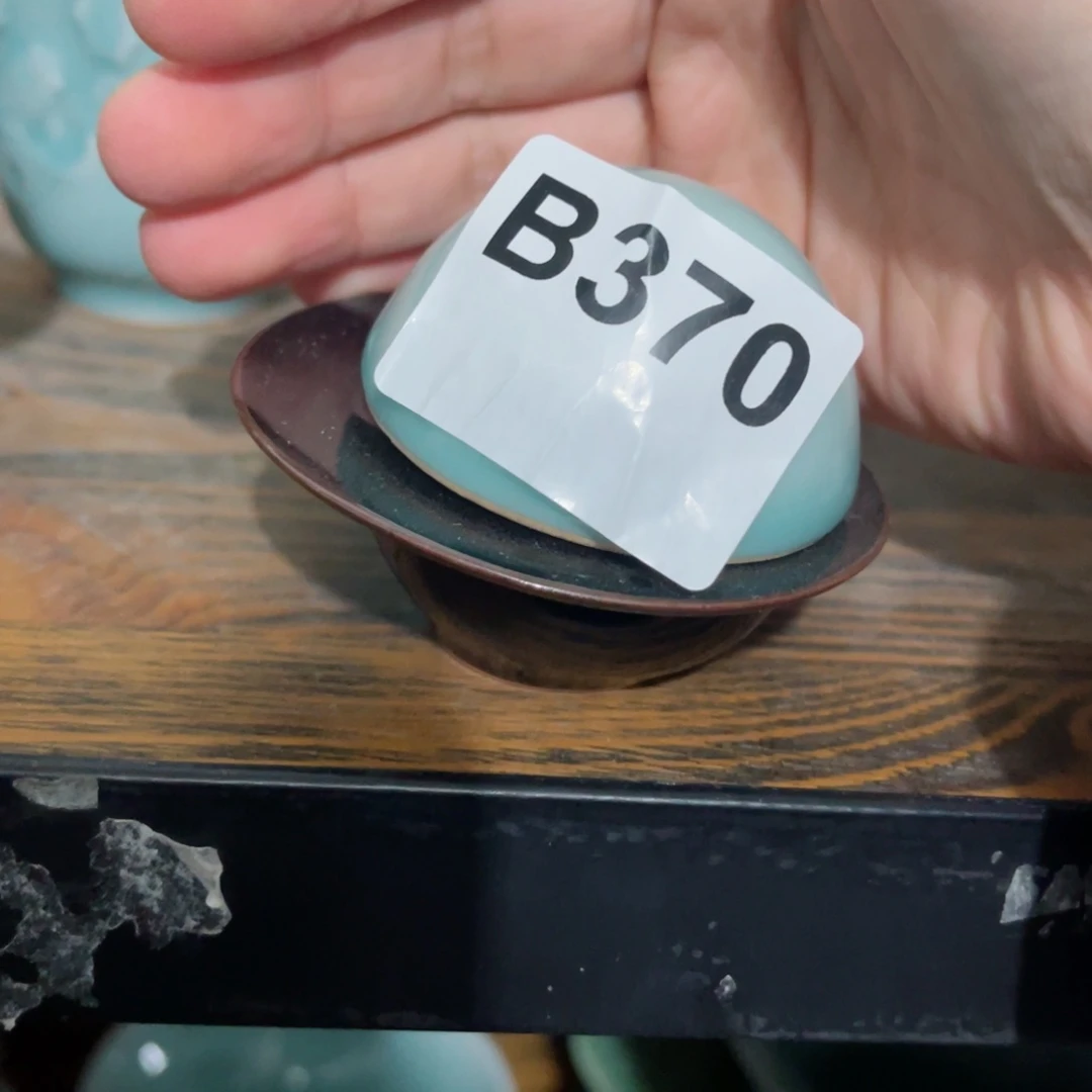 瓷片盛**年哈哈哈哈哈哈哈哈