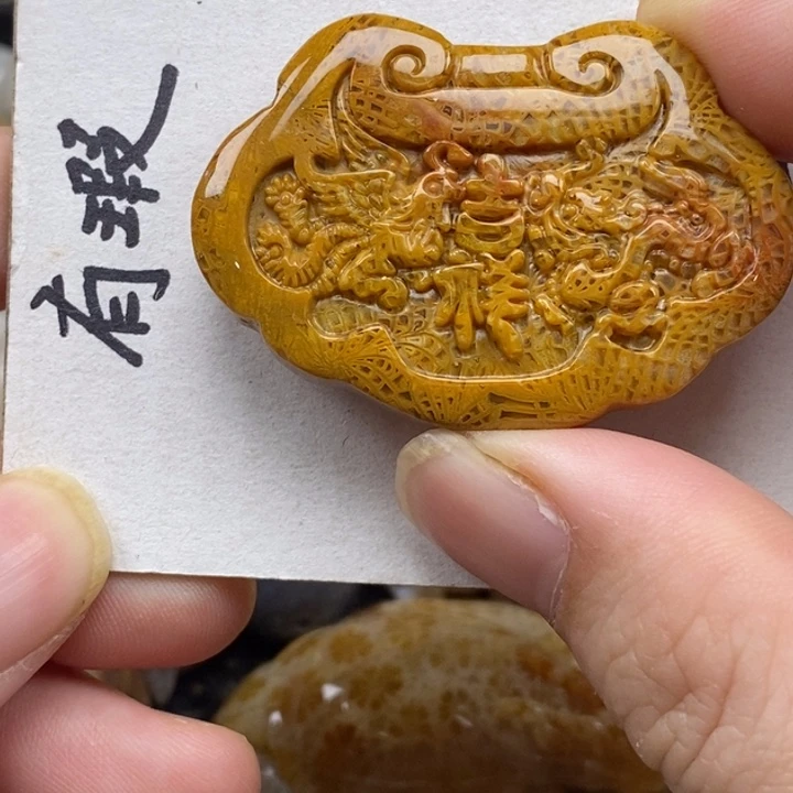 硅化珊瑚（珊瑚玉）未镶嵌颈饰