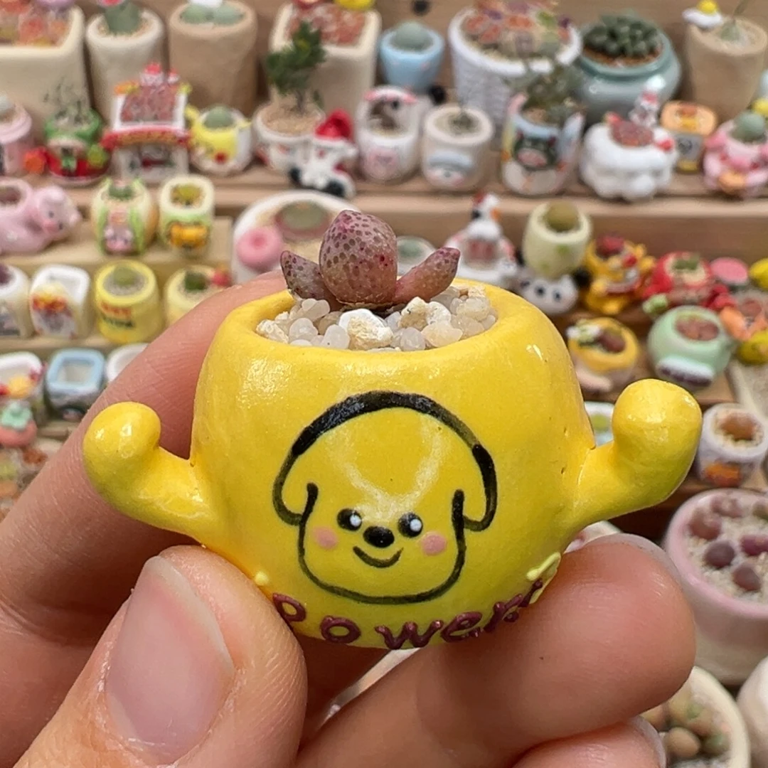 多肉植物139号拇指盆