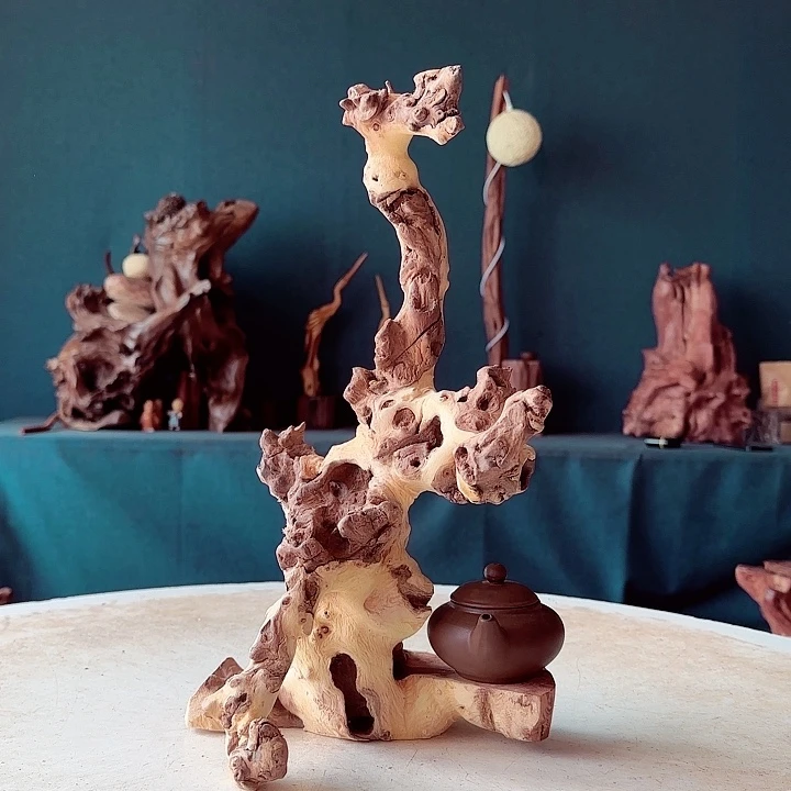 黑果木福*536金丝红木羊蹄甲半成品